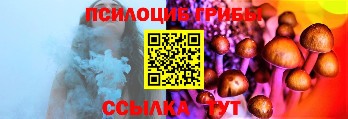 Галлюциногенные грибы Psilocybine cubensis Оренбург
